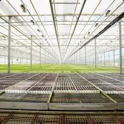 Greenhouses